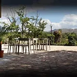 לינה וארוחת בוקר Belvedere