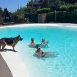 לינה וארוחת בוקר Belvedere 3*
